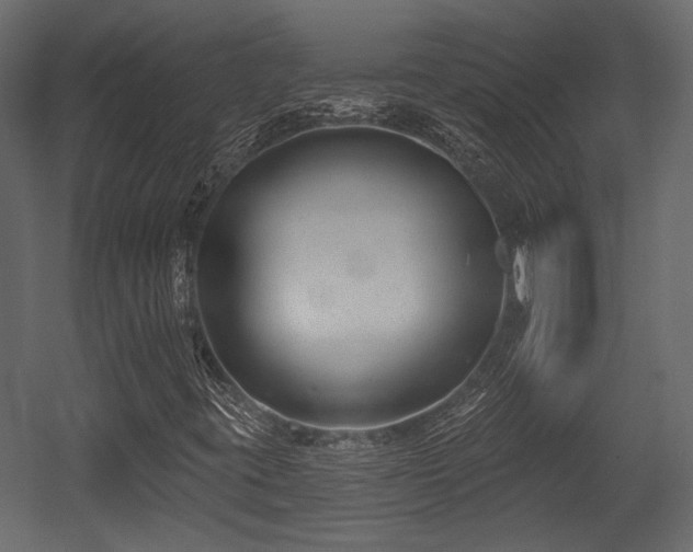 X0000054441395200508011417