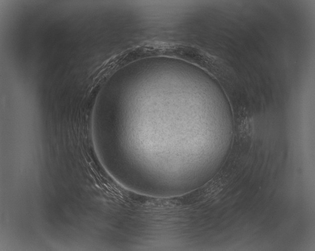 X0000054441397200508011417