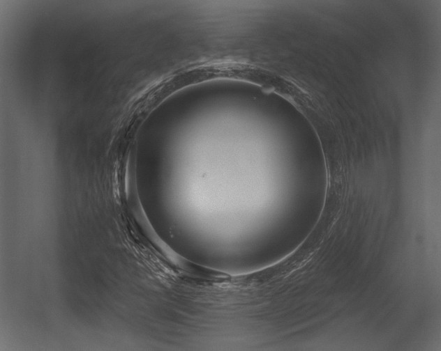 X0000054441398200508011417