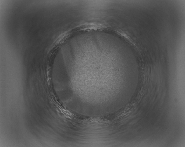 X0000054441399200508011417