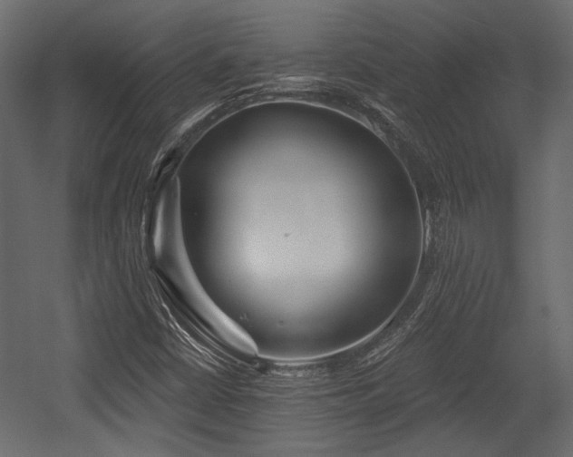 X0000054441402200508011417