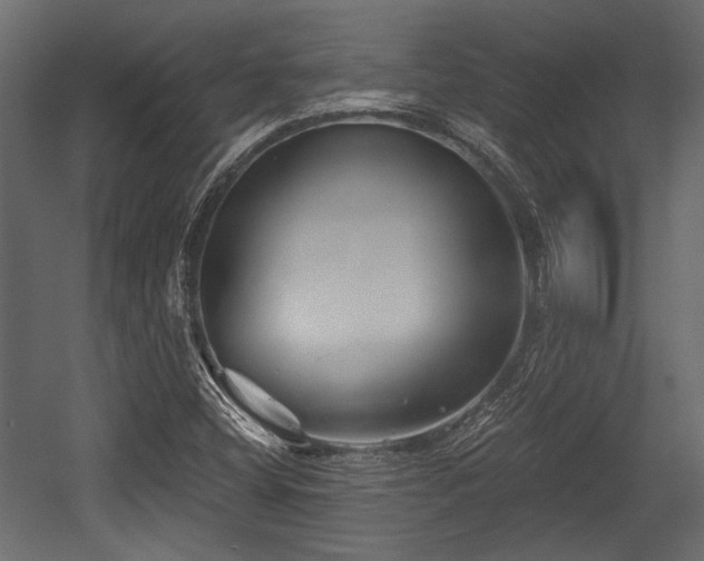 X0000054441404200508011417