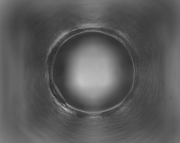 X0000054441406200508011417