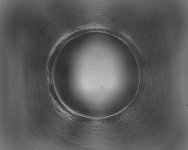 X0000054441408200508011417
