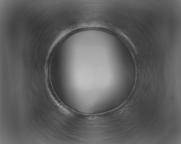 X0000054441416200508011418