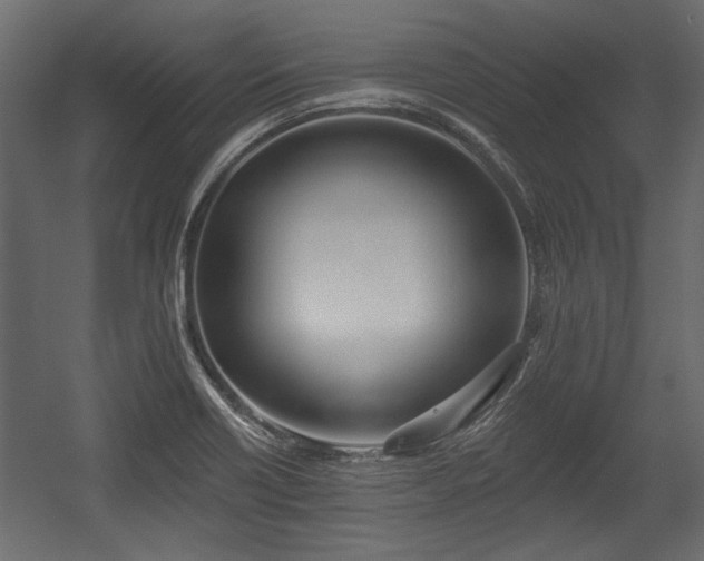 X0000054441418200508011418