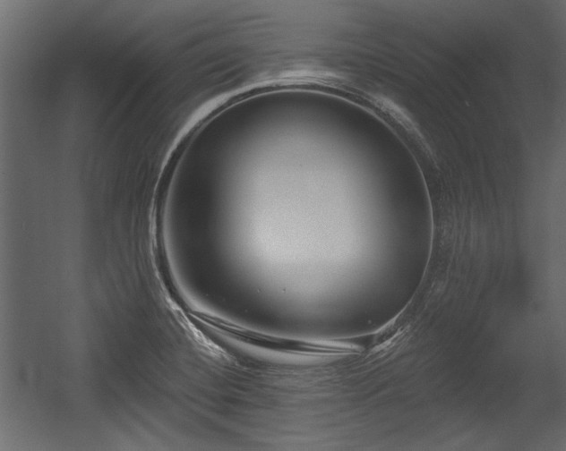 X0000054441420200508011418
