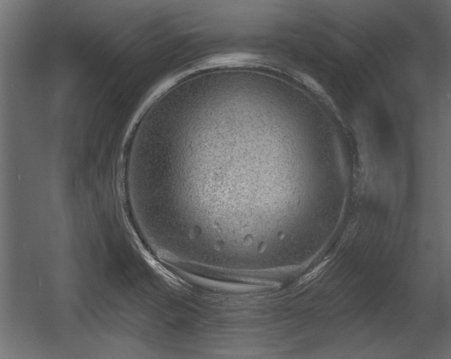 X0000054441421200508011418
