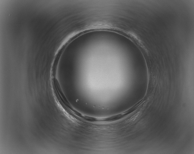 X0000054441422200508011418