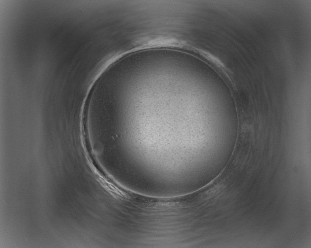 X0000054441423200508011418