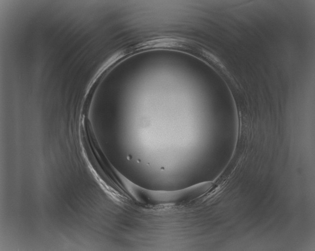 X0000054441426200508011418