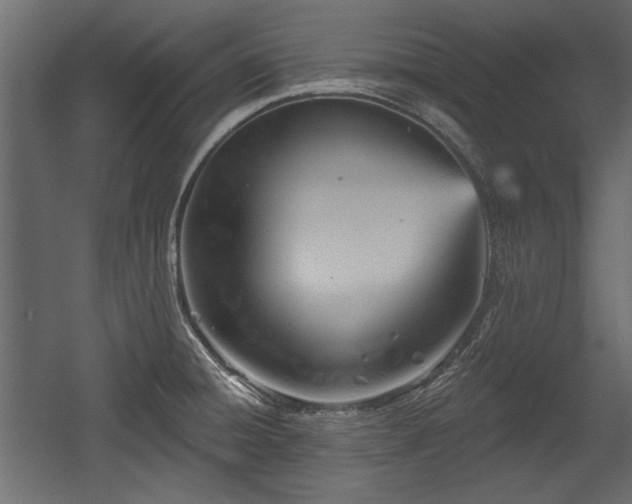 X0000054441428200508011418