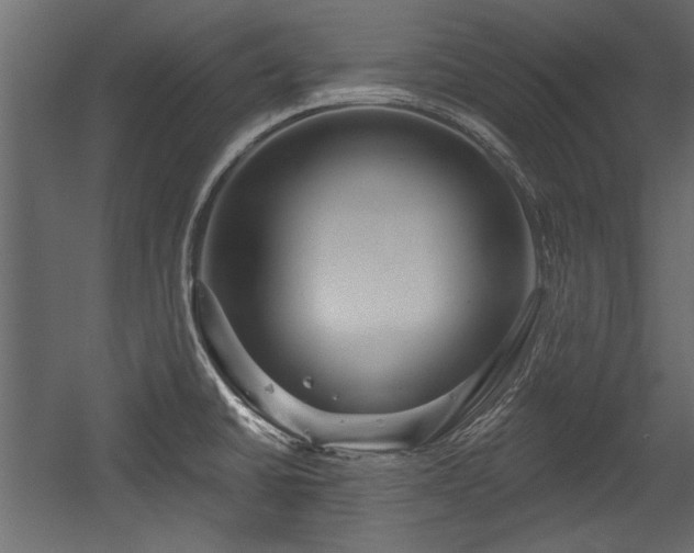 X0000054441430200508011418