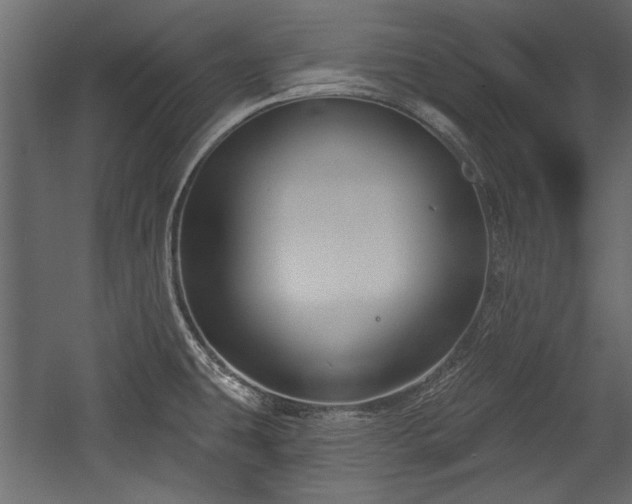 X0000054441431200508011418