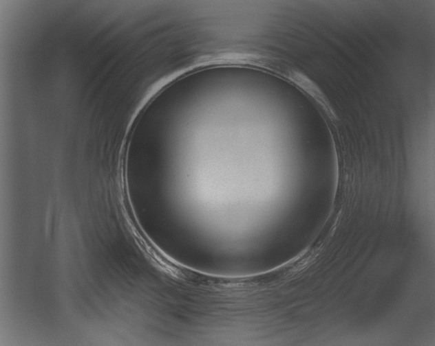 X0000054441436200508011418