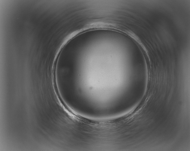 X0000054441437200508011418