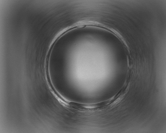 X0000054441438200508011418