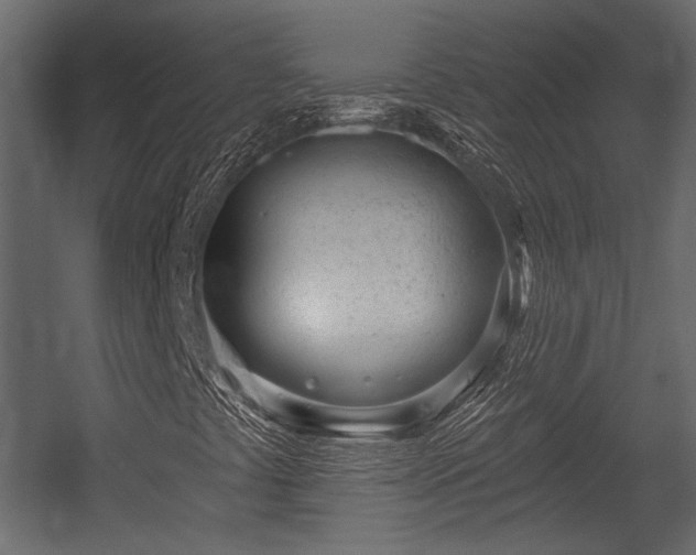 X0000054441441200508011417