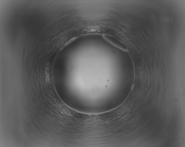 X0000054441442200508011417