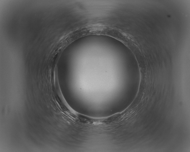 X0000054441445200508011417