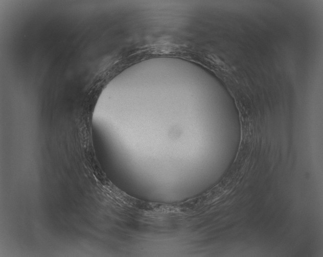 X0000054441446200508011417