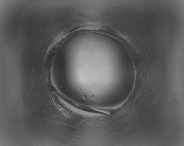 X0000054441448200508011417