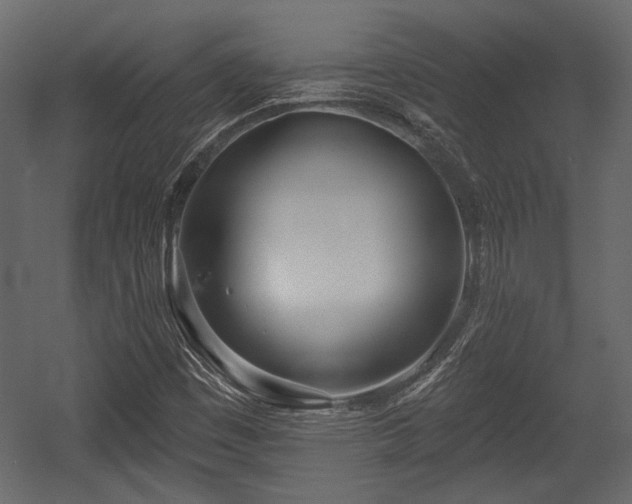 X0000054441449200508011417