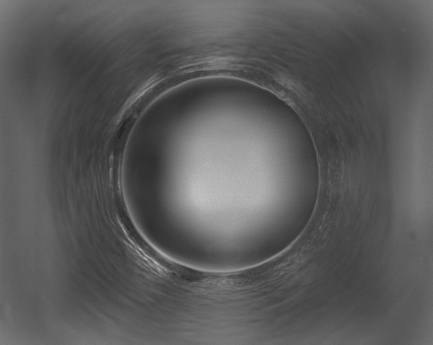 X0000054441450200508011417