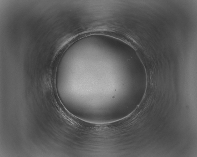 X0000054441452200508011417