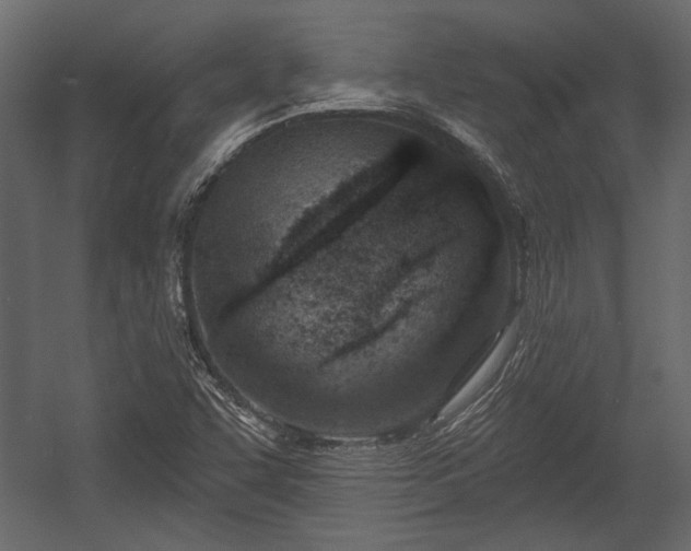 X0000054441455200508011417