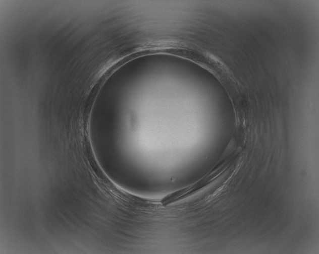 X0000054441457200508011417