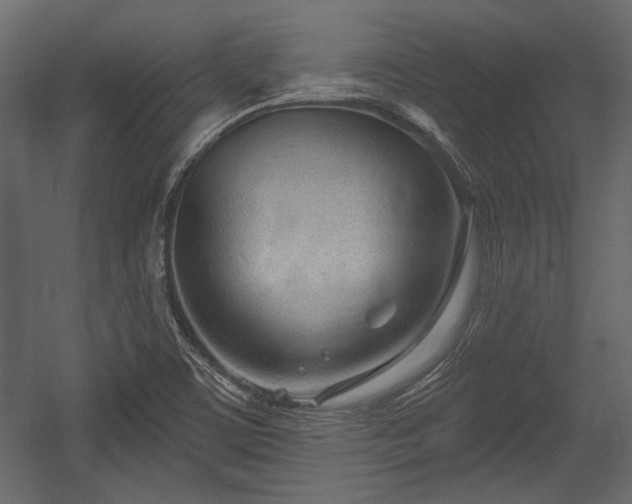 X0000054441459200508011417