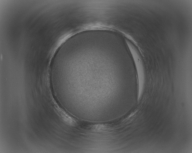 X0000054441463200508011417