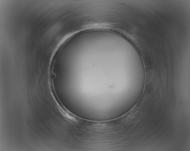X0000054441470200508011417