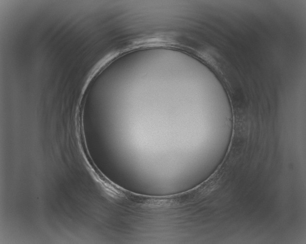 X0000054441474200508011417