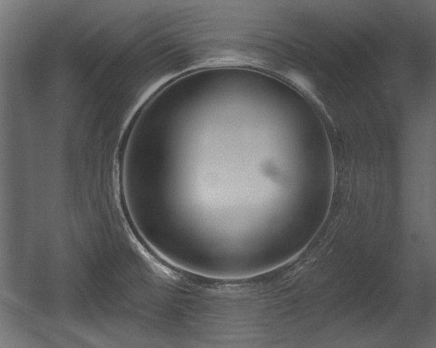 X0000054441476200508011417
