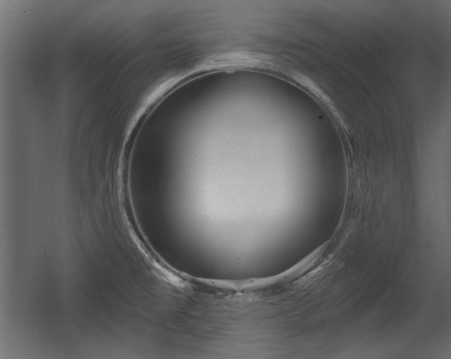 X0000054441477200508011417