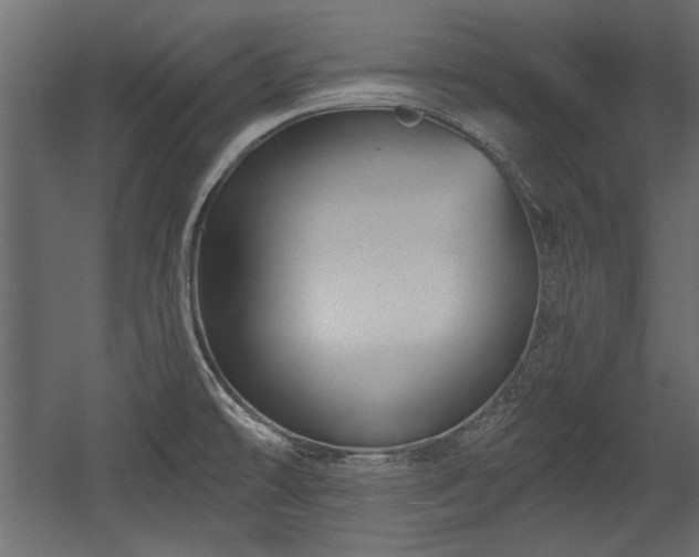 X0000054441478200508011416