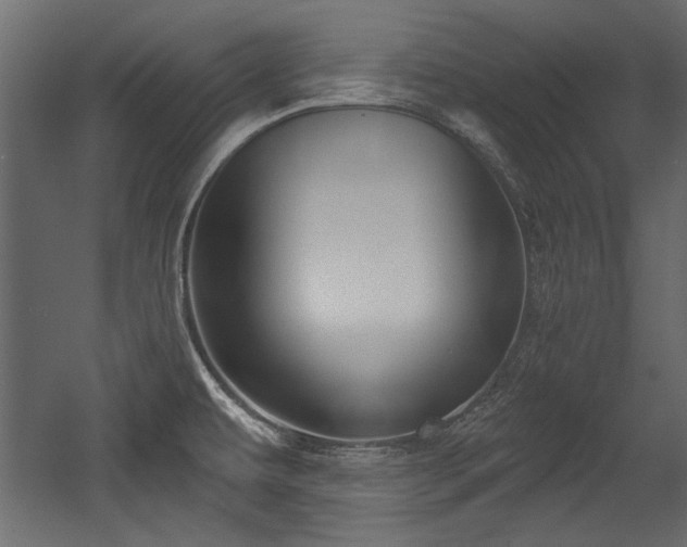 X0000054441479200508011416