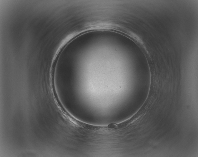 X0000054441480200508011416