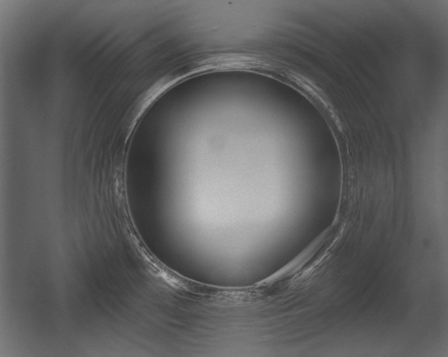 X0000054441481200508011416