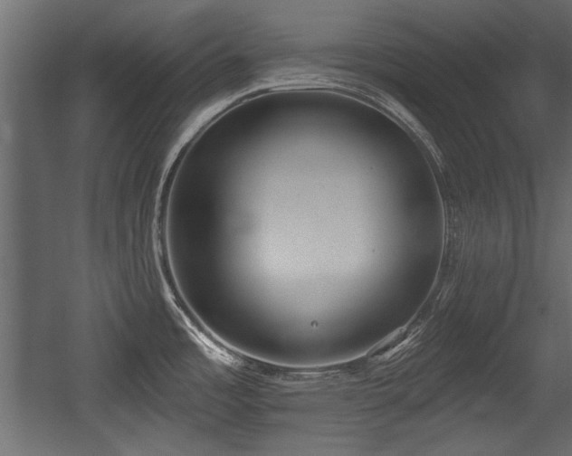 X0000054441485200508011416