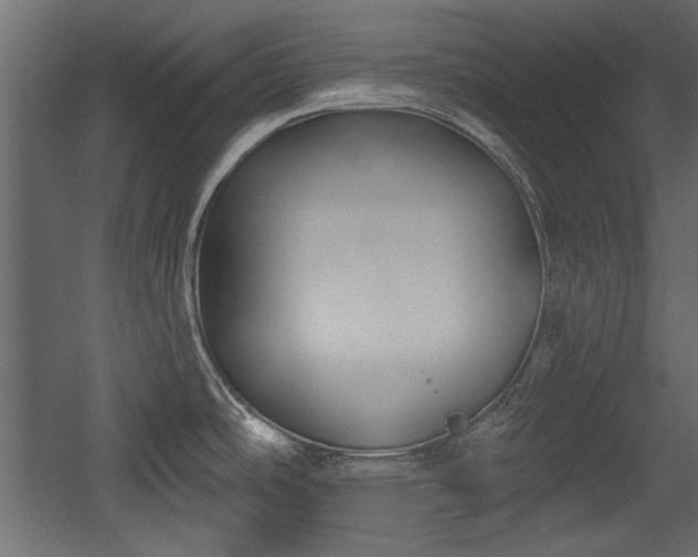 X0000054441486200508011416