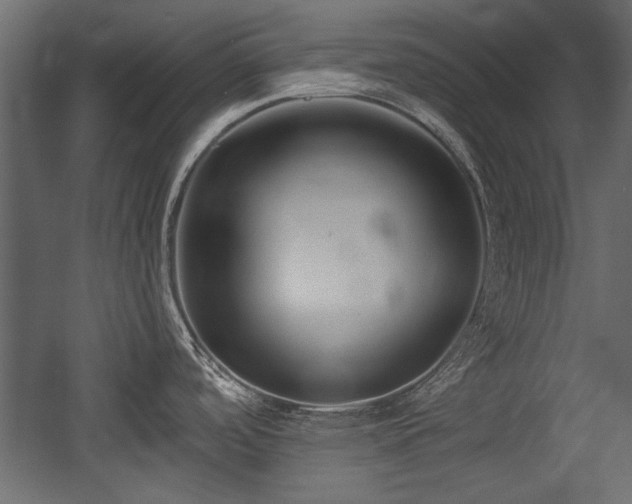 X0000054441488200508011416