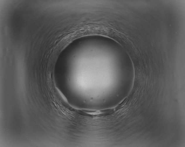 X0000054441489200508011415