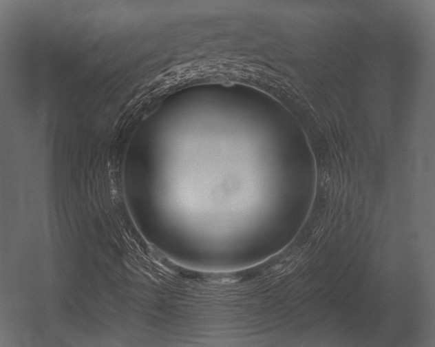 X0000054441490200508011416