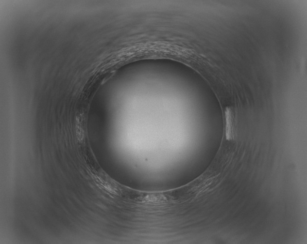 X0000054441491200508011416