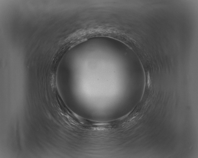 X0000054441492200508011416