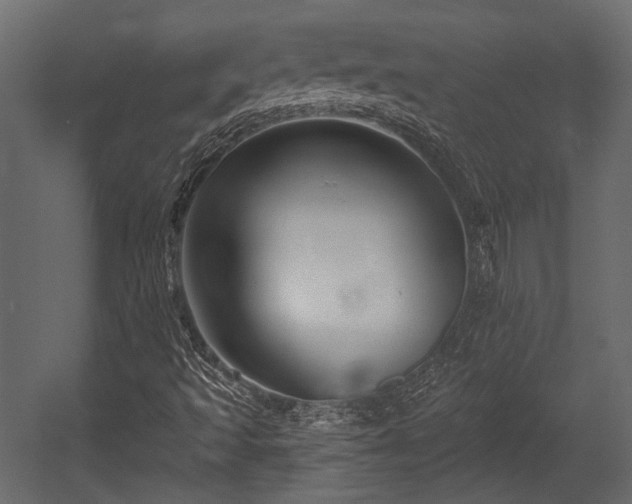 X0000054441493200508011416
