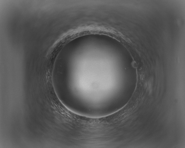 X0000054441495200508011416